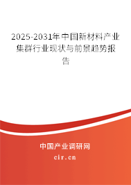 2025-2031年中國新材料產(chǎn)業(yè)集群行業(yè)現(xiàn)狀與前景趨勢報告