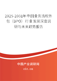 2025-2031年中國(guó)業(yè)務(wù)流程外包（BPO）行業(yè)發(fā)展深度調(diào)研與未來(lái)趨勢(shì)報(bào)告