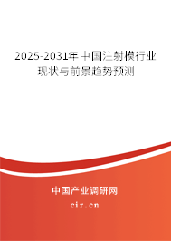 2025-2031年中國注射模行業(yè)現(xiàn)狀與前景趨勢(shì)預(yù)測(cè)