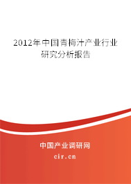 2012年中國(guó)青梅汁產(chǎn)業(yè)行業(yè)研究分析報(bào)告