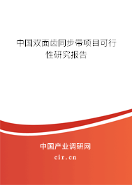 中國雙面齒同步帶項(xiàng)目可行性研究報(bào)告
