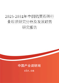 2025-2031年中國鋯英石磚行業(yè)現(xiàn)狀研究分析及發(fā)展趨勢研究報告
