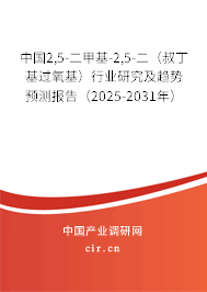 中國2,5-二甲基-2,5-二（叔丁基過氧基）行業(yè)研究及趨勢預測報告（2025-2031年）