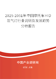 2025-2031年中國摩托車HID氙氣燈行業(yè)調(diào)研及發(fā)展趨勢分析報(bào)告