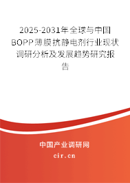 2025-2031年全球與中國BOPP薄膜抗靜電劑行業(yè)現(xiàn)狀調(diào)研分析及發(fā)展趨勢研究報告