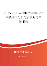 2025-2031年中國大數(shù)據(jù)行業(yè)現(xiàn)狀調(diào)研分析與發(fā)展趨勢預測報告