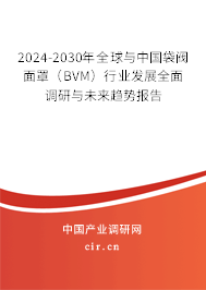 2024-2030年全球與中國袋閥面罩（BVM）行業(yè)發(fā)展全面調(diào)研與未來趨勢報(bào)告