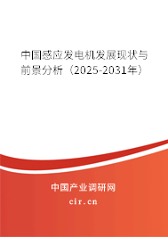 中國感應(yīng)發(fā)電機(jī)發(fā)展現(xiàn)狀與前景分析（2025-2031年）