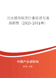 河北塔吊租賃行業(yè)現(xiàn)狀與發(fā)展趨勢（2025-2031年）