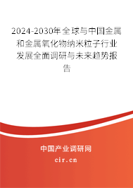 2024-2030年全球與中國金屬和金屬氧化物納米粒子行業(yè)發(fā)展全面調研與未來趨勢報告