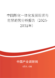 中國煉化一體化發(fā)展現(xiàn)狀與前景趨勢分析報(bào)告（2025-2031年）