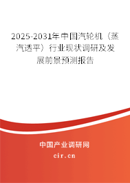 2025-2031年中國(guó)汽輪機(jī)（蒸汽透平）行業(yè)現(xiàn)狀調(diào)研及發(fā)展前景預(yù)測(cè)報(bào)告