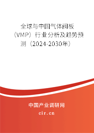 全球與中國氣體閥板（VMP）行業(yè)分析及趨勢預(yù)測（2024-2030年）
