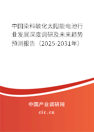 中國(guó)染料敏化太陽(yáng)能電池行業(yè)發(fā)展深度調(diào)研及未來(lái)趨勢(shì)預(yù)測(cè)報(bào)告（2025-2031年）