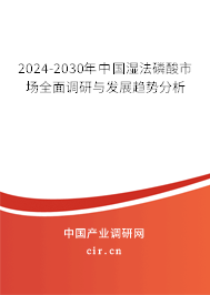 2024-2030年中國濕法磷酸市場全面調研與發(fā)展趨勢分析