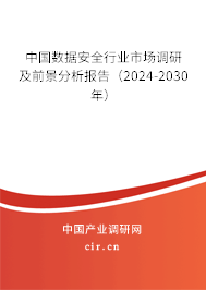 中國數(shù)據(jù)安全行業(yè)市場調(diào)研及前景分析報(bào)告（2024-2030年）