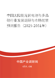 中國太陽能光伏電池與多晶硅行業(yè)發(fā)展調(diào)研與市場前景預(yù)測報告（2025-2031年）