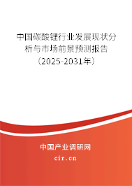 中國(guó)碳酸鋰行業(yè)發(fā)展現(xiàn)狀分析與市場(chǎng)前景預(yù)測(cè)報(bào)告（2025-2031年）