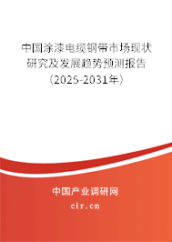 中國(guó)涂漆電纜鋼帶市場(chǎng)現(xiàn)狀研究及發(fā)展趨勢(shì)預(yù)測(cè)報(bào)告（2025-2031年）