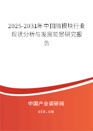 2025-2031年中國微模塊行業(yè)現狀分析與發(fā)展前景研究報告