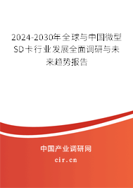 2024-2030年全球與中國(guó)微型SD卡行業(yè)發(fā)展全面調(diào)研與未來(lái)趨勢(shì)報(bào)告