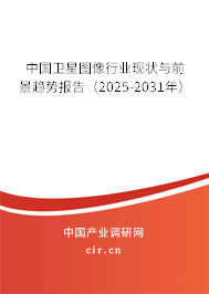 中國衛(wèi)星圖像行業(yè)現(xiàn)狀與前景趨勢報告（2025-2031年）