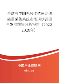全球與中國無線傳感器網(wǎng)絡(luò)能量采集系統(tǒng)市場現(xiàn)狀調(diào)研與發(fā)展前景分析報(bào)告（2022-2028年）
