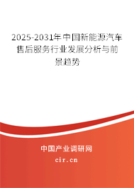 2025-2031年中國新能源汽車售后服務(wù)行業(yè)發(fā)展分析與前景趨勢