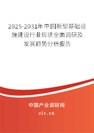 2025-2031年中國新型基礎設施建設行業(yè)現(xiàn)狀全面調(diào)研及發(fā)展趨勢分析報告