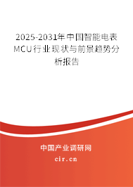 2024-2030年中國智能電表MCU行業(yè)現(xiàn)狀與前景趨勢分析報告