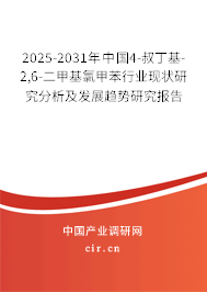2025-2031年中國(guó)4-叔丁基-2,6-二甲基氯甲苯行業(yè)現(xiàn)狀研究分析及發(fā)展趨勢(shì)研究報(bào)告