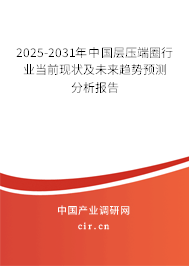 2025-2031年中國(guó)層壓端圈行業(yè)當(dāng)前現(xiàn)狀及未來(lái)趨勢(shì)預(yù)測(cè)分析報(bào)告