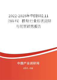 2022-2028年中國(guó)802.11（Wi-Fi）模塊行業(yè)現(xiàn)狀調(diào)研與前景趨勢(shì)報(bào)告