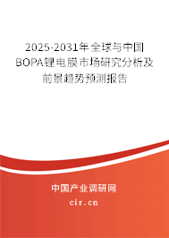 2025-2031年全球與中國BOPA鋰電膜市場研究分析及前景趨勢預(yù)測報(bào)告