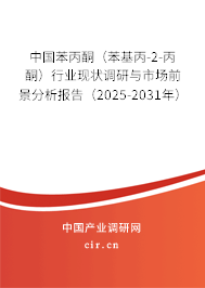 中國苯丙酮（苯基丙-2-丙酮）行業(yè)現(xiàn)狀調(diào)研與市場前景分析報告（2025-2031年）