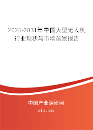 2025-2031年中國(guó)大型無人機(jī)行業(yè)現(xiàn)狀與市場(chǎng)前景報(bào)告