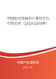 中國氮化硅軸承行業(yè)研究與市場前景（2024-2030年）
