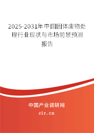 2025-2031年中國固體廢物處理行業(yè)現(xiàn)狀與市場前景預(yù)測報告