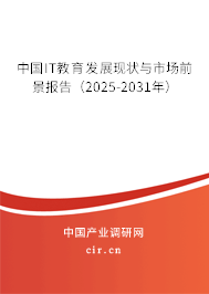 中國(guó)IT教育發(fā)展現(xiàn)狀與市場(chǎng)前景報(bào)告（2025-2031年）