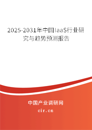 2025-2031年中國IaaS行業(yè)研究與趨勢預測報告