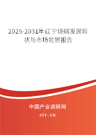 2025-2031年遼寧燒堿發(fā)展現(xiàn)狀與市場(chǎng)前景報(bào)告