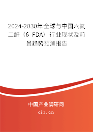 2024-2030年全球與中國六氟二酐（6-FDA）行業(yè)現(xiàn)狀及前景趨勢(shì)預(yù)測(cè)報(bào)告