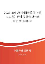 2025-2031年中國美妝蛋（美容工具）行業(yè)發(fā)展分析與市場前景預(yù)測報告