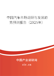 中國(guó)汽車市場(chǎng)調(diào)研與發(fā)展趨勢(shì)預(yù)測(cè)報(bào)告（2025年）