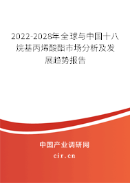 2022-2028年全球與中國十八烷基丙烯酸酯市場(chǎng)分析及發(fā)展趨勢(shì)報(bào)告
