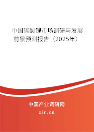 中國碳酸鋰市場(chǎng)調(diào)研與發(fā)展前景預(yù)測(cè)報(bào)告（2025年）