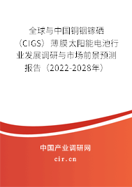 全球與中國(guó)銅銦鎵硒（CIGS）薄膜太陽(yáng)能電池行業(yè)發(fā)展調(diào)研與市場(chǎng)前景預(yù)測(cè)報(bào)告（2022-2028年）