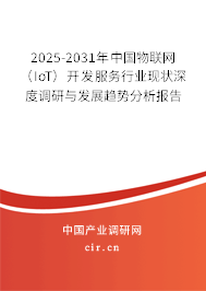 2025-2031年中國物聯(lián)網(wǎng)（IoT）開發(fā)服務(wù)行業(yè)現(xiàn)狀深度調(diào)研與發(fā)展趨勢分析報告