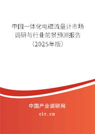 中國(guó)一體化電磁流量計(jì)市場(chǎng)調(diào)研與行業(yè)前景預(yù)測(cè)報(bào)告（2025年版）