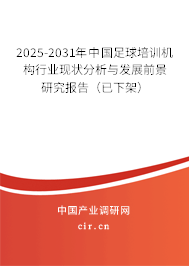 2025-2031年中國足球培訓機構(gòu)行業(yè)現(xiàn)狀分析與發(fā)展前景研究報告（已下架）